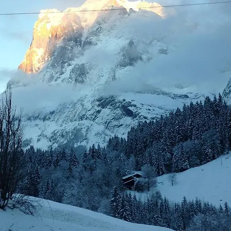 Chalet Pfingsteggblick Grindelwald Exterior foto