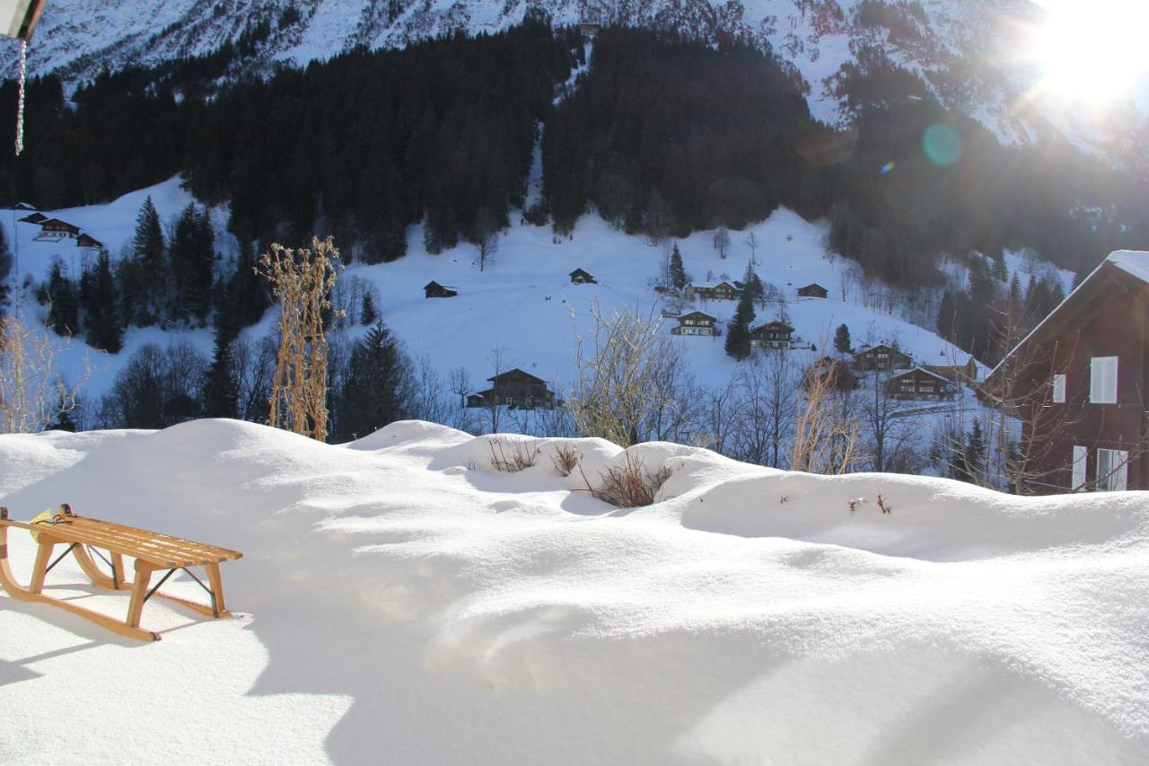 Apartamento Pfingsteggblick *