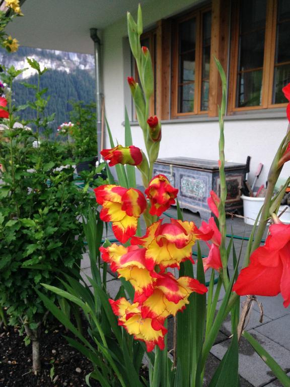 Pfingsteggblick Apartamento Grindelwald